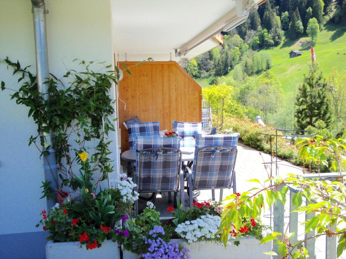 Appartement Pfingsteggblick *